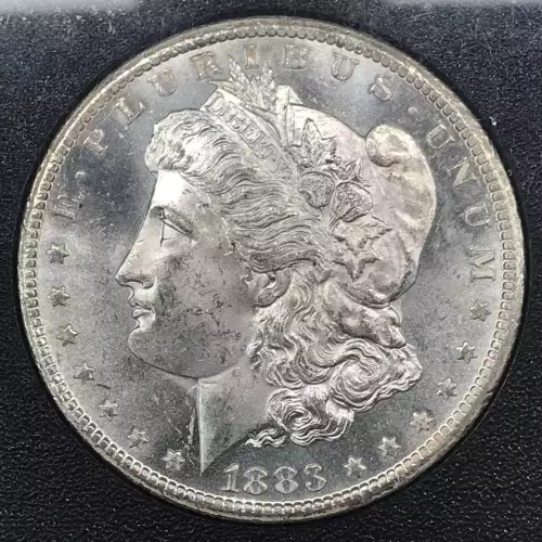 1883 GSA HOARD PL (5)