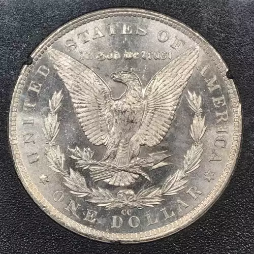1883 GSA HOARD PL (4)
