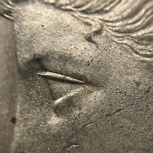 1883-O $1 (5)