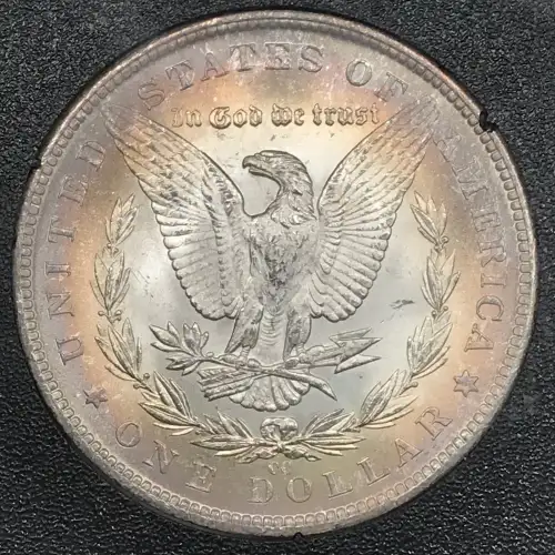 1884-CC GSA Treasure $1 (4)