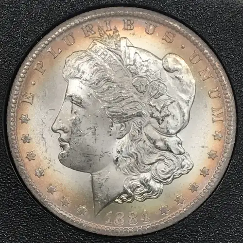 1884-CC GSA Treasure $1 (5)