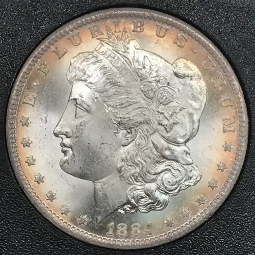 1884-CC GSA Treasure $1 (4)