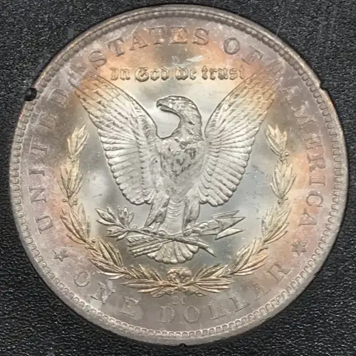 1884-CC GSA Treasure $1 (5)