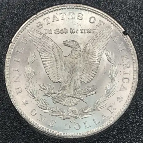 1884 GSA HOARD (3)