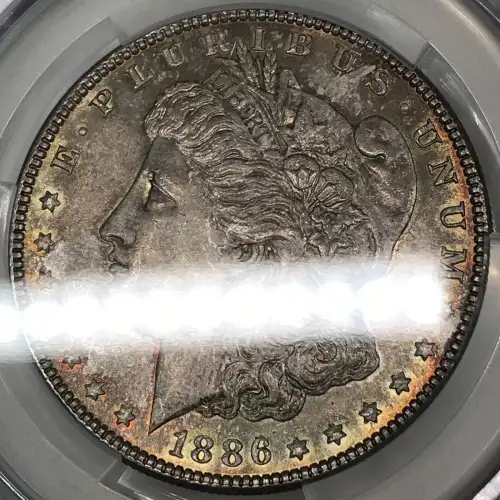 1886 $1 (8)