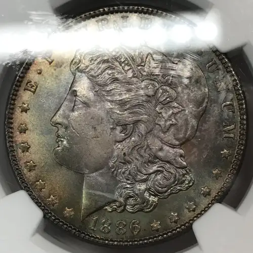 1886 (5)