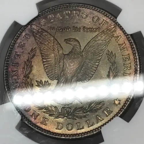 1886 (2)