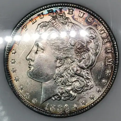 1886 (6)