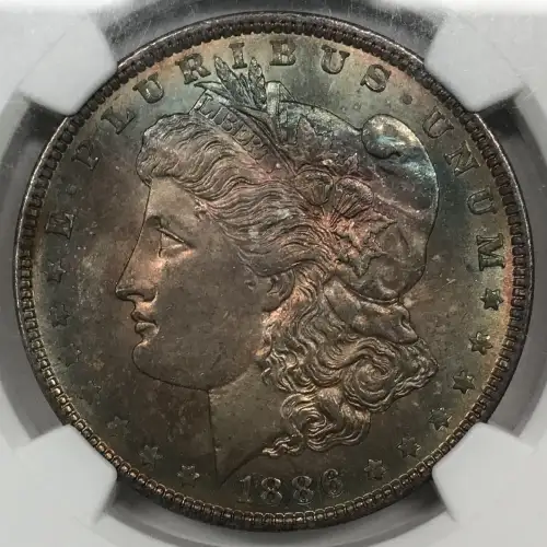 1886 (6)