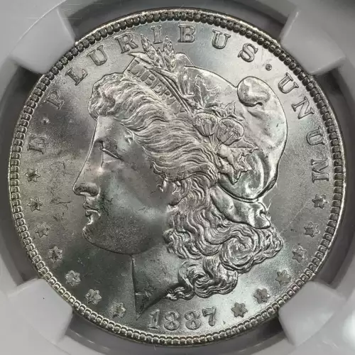 1887 VAM-12 DDO GATOR EYE  (4)