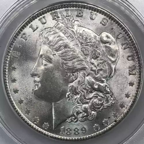 1889 $1 VAM 22 Bar Wing (2)