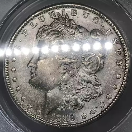 1889 $1 VAM 22 Bar Wing (3)