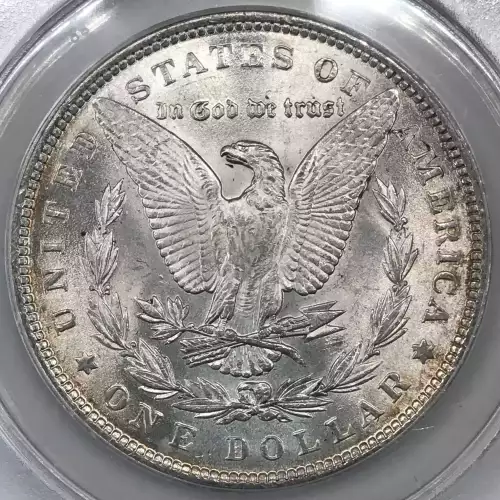 1889 $1 VAM 22 Bar Wing (4)