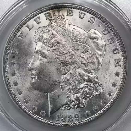 1889 $1 VAM 22 Bar Wing (5)