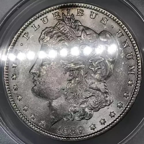 1889 $1 VAM 22 Bar Wing (4)