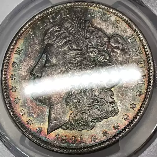 1891 $1 (5)