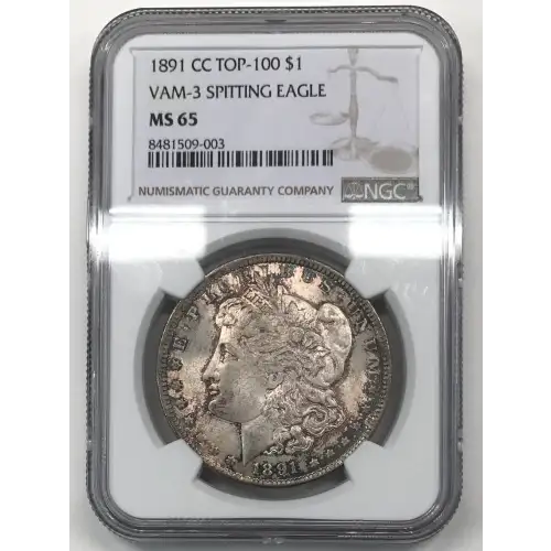 1891 CC VAM-3 SPITTING EAGLE (4)