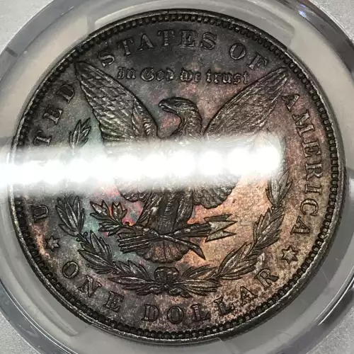 1893 $1 (5)