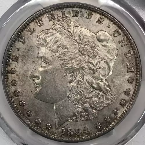 1894 $1 (5)