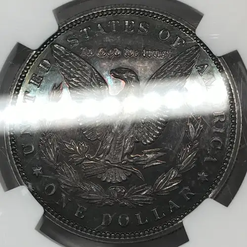 1894 (7)