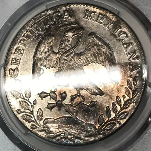1894-Mo AM 8 R Mo80 (2)