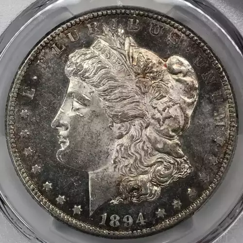 1894-S $1 (3)