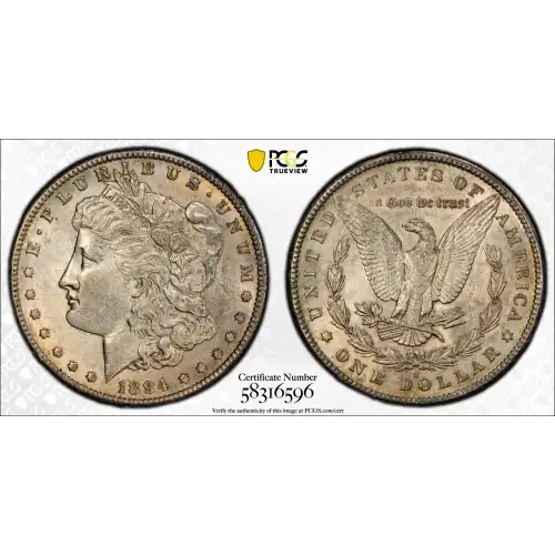 1894-S $1