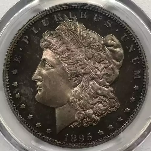 1895 $1 (4)