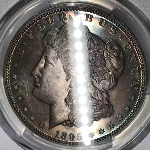 1895 $1 (5)