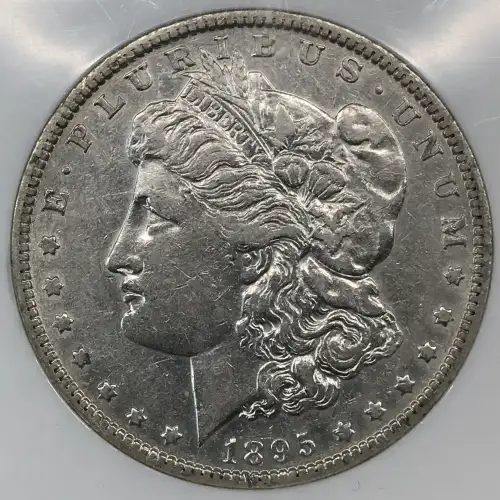 1895 (6)