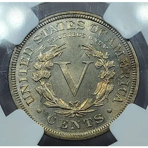1895 (5)