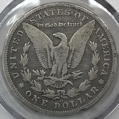 1895-O $1 (3)