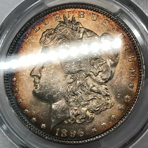 1896 $1 (2)