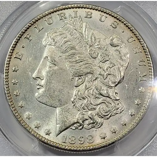 1898 $1 (3)