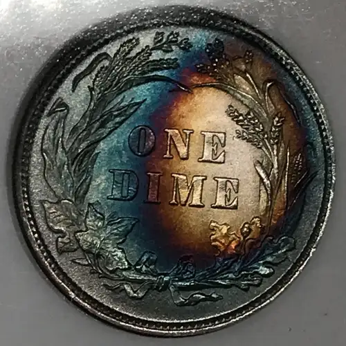 1898 (6)