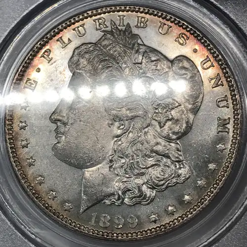 1899 $1 (3)