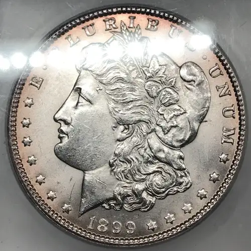 1899 (3)