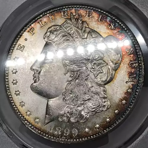 1899-O $1 (5)