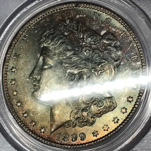 1899-O $1 (3)
