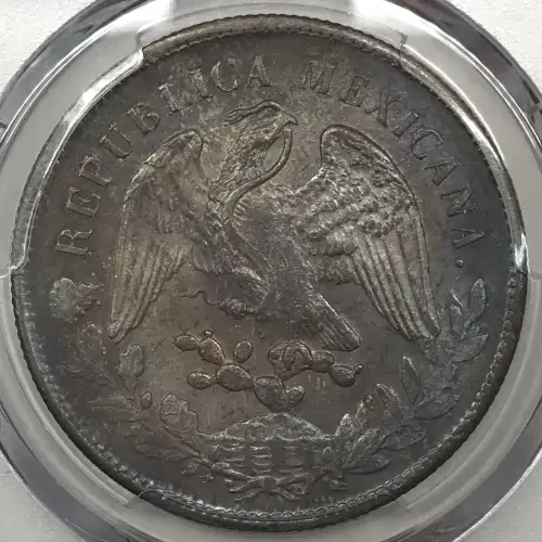 1899-Zs FZ Peso KM-409.3 (4)