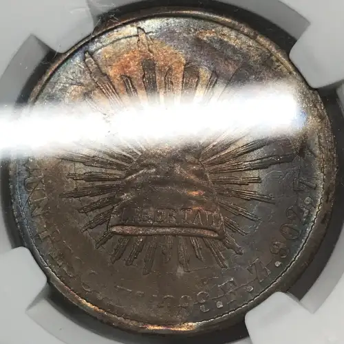1899ZS FZ (5)