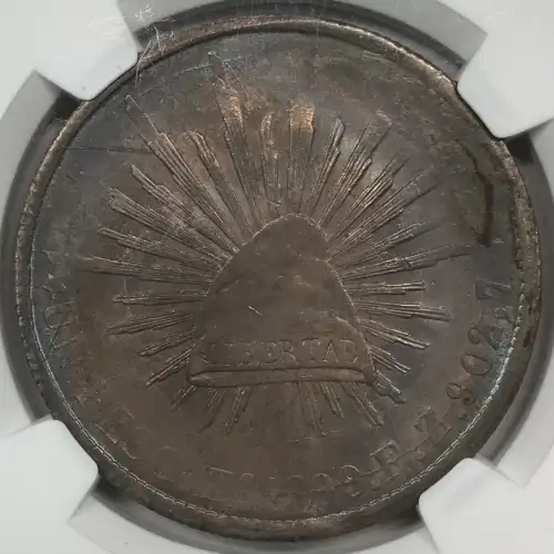 1899ZS FZ (6)
