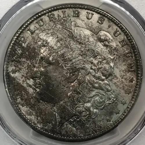 1900 $1 (5)