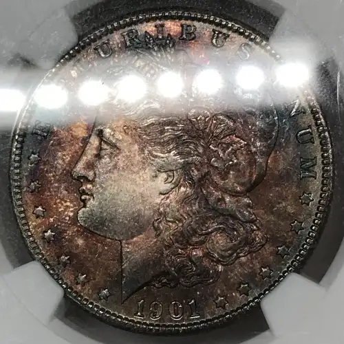 1901 (2)