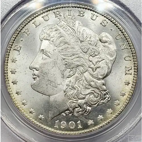 1901-O $1