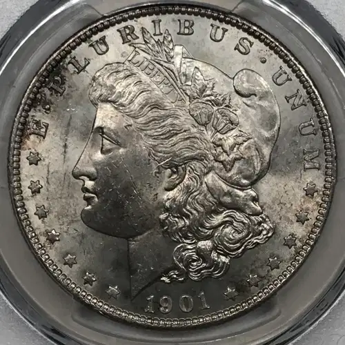 1901-S $1 (3)