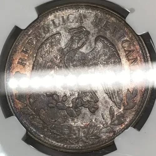 1902MO AM (3)