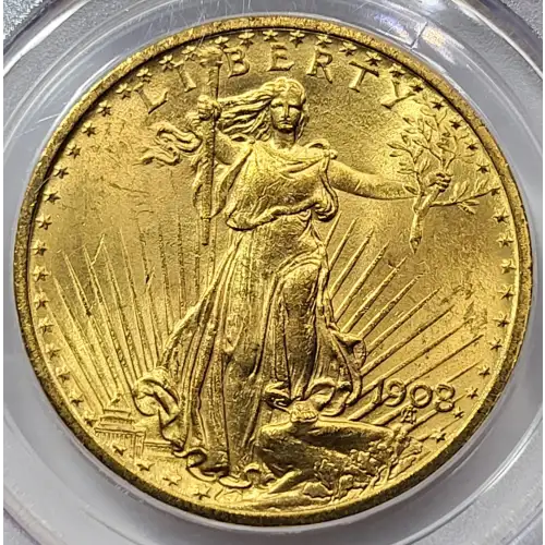 1908 $20 No Motto (5)