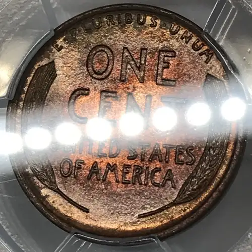1918 1C, BN (3)