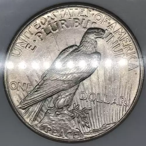 1921 HIGH RELIEF (4)